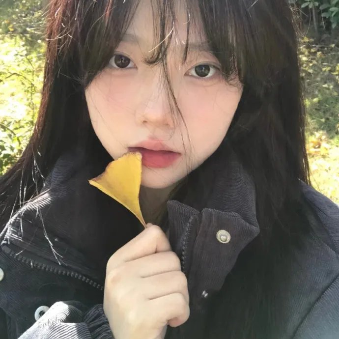 夏日进行时